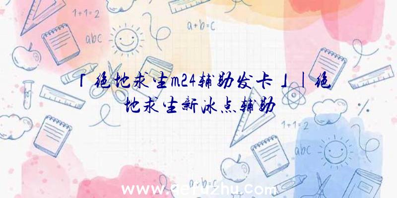 「绝地求生m24辅助发卡」|绝地求生新冰点辅助